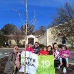 Tree planting 1