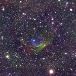 Condor Image