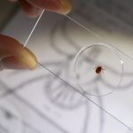 Tickonslide
