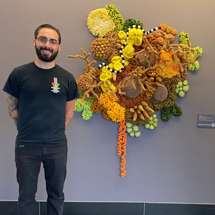 Yarnscapes 24 5