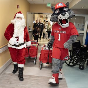 Oem toy drive 24 sq