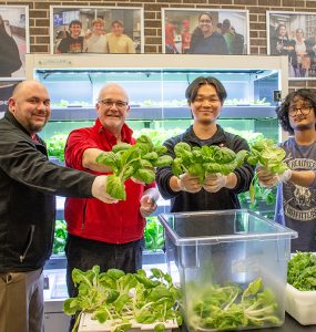 Sb news micro farm 1