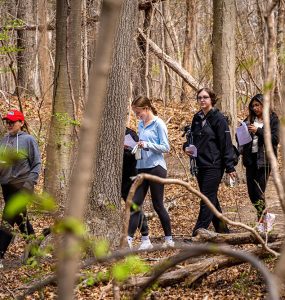 Eco walk hunt 25 2