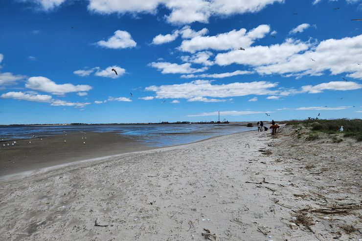 Warners beach cleanup 25 5