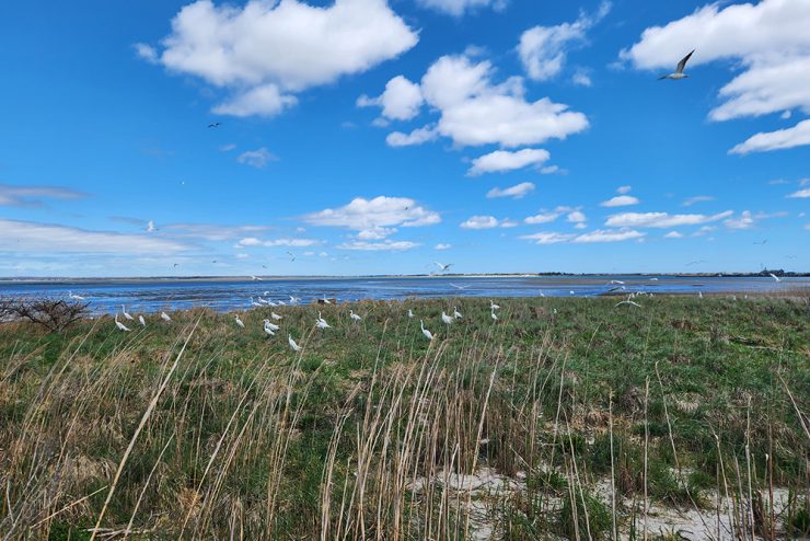 Warners beach cleanup 25 7