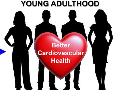 Cvh heart feat