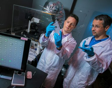 Balazsi lab charlebois