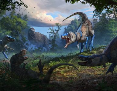 Nanotyrannusillustration