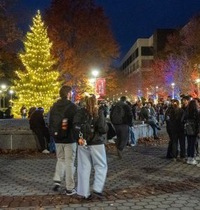 Light the brook 25 11