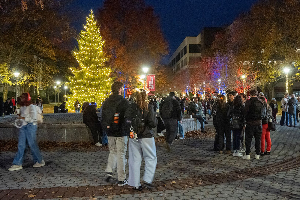 Light the brook 25 11
