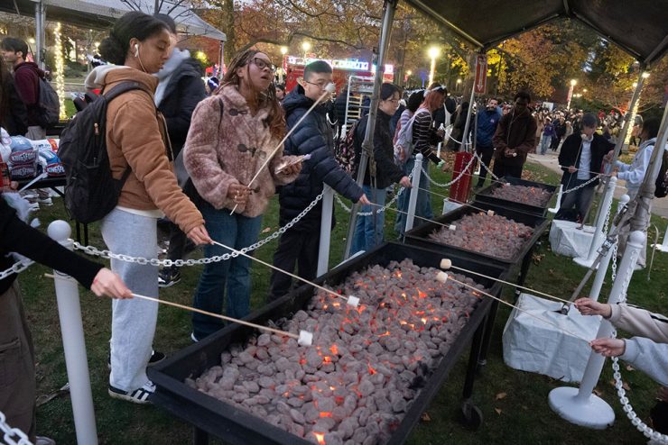 Light the brook 25 6