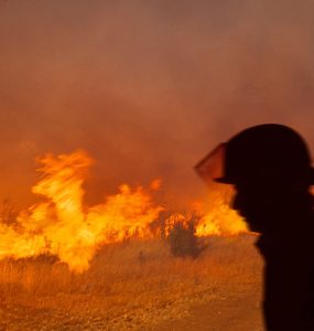 Stock firefighter
