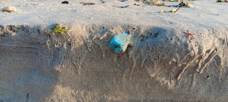 Shoreline Plastics