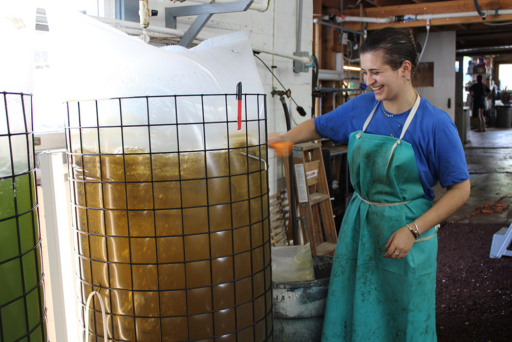 Miradyn Feist, an undergraduate who took part in a fellowship program offered by New York Sea Grant last summer, working at Hart Hatchery in Sayville, NY.