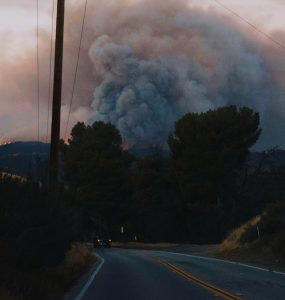 Wildfireunsplashimage