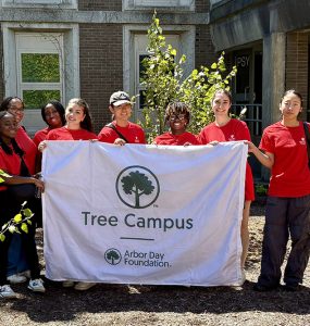 Tree campus 2026