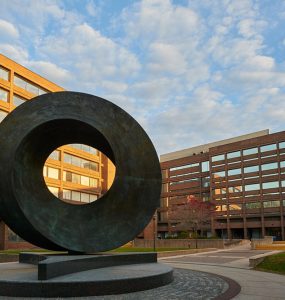 Umbilic torus physics