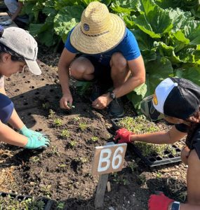 Foodlab garden featured
