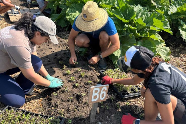 Foodlab garden featured